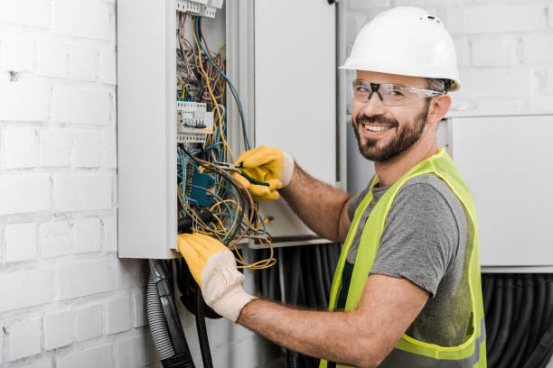 Best Electric Panel Repair  in Woodland Beach, MI